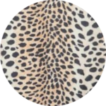 Leopard Print Slip Over Head Tabard